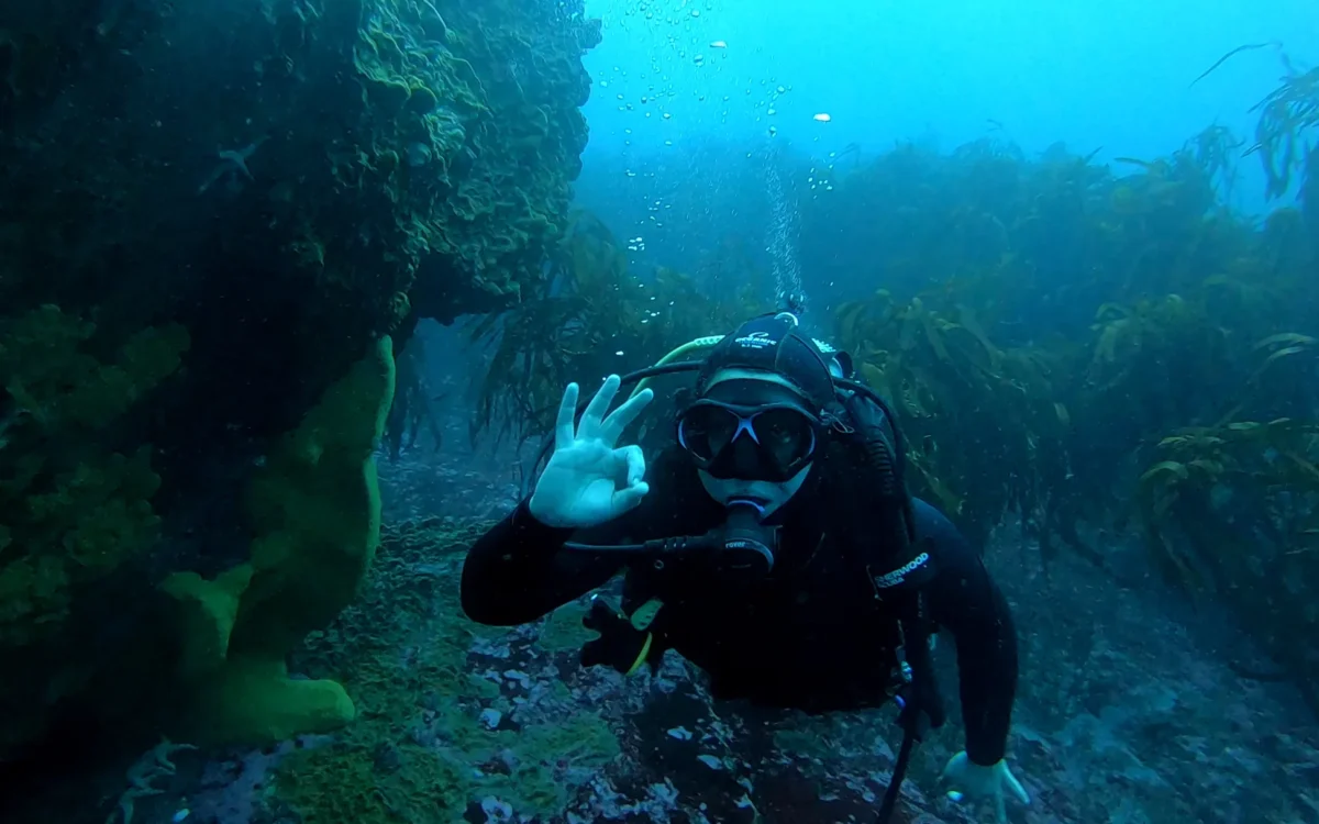 Buceo en el Océano Pacífico